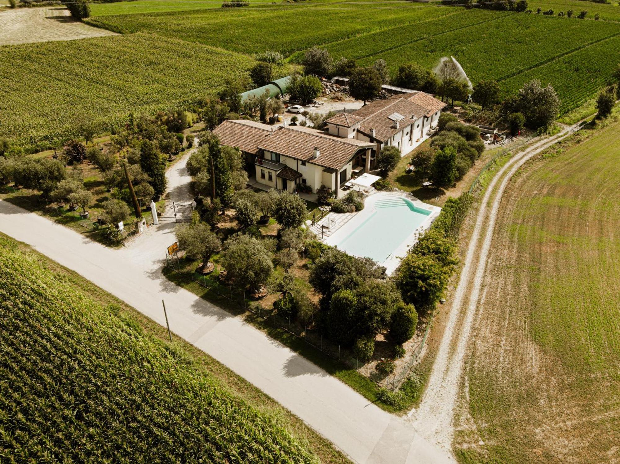 Agriturismo" Il Glicine Bianco" Монцамбано Экстерьер фото